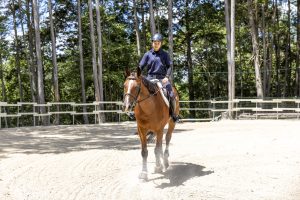 会員制乗馬倶楽部としてインストラクターが指導いたします。