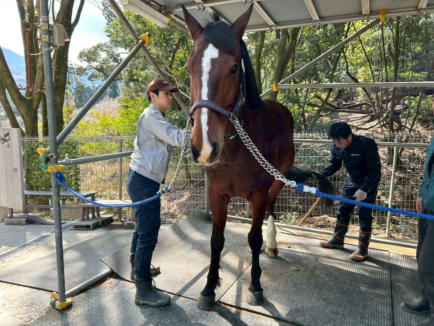馬と触れ合いながら思いやりや生命の尊さを学びます。癒しを感じながら成長しましょう