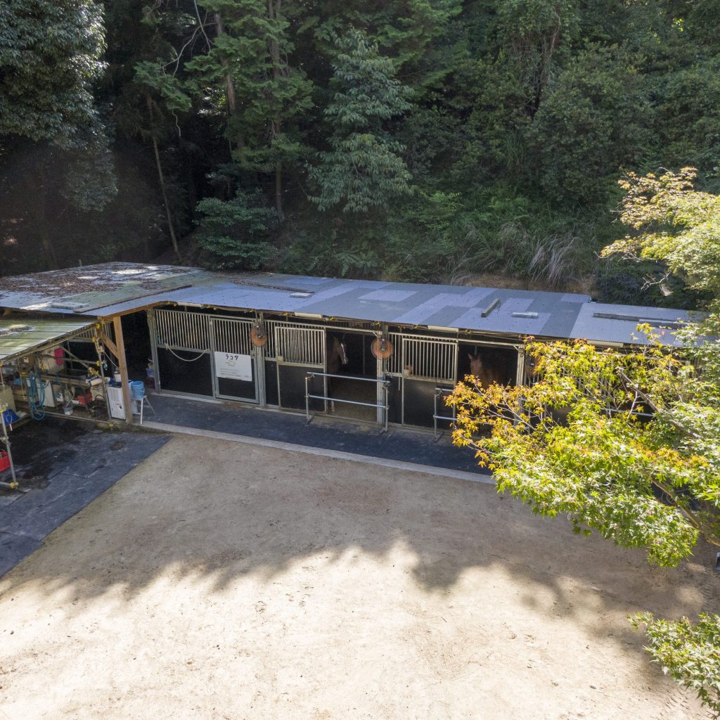 会員制乗馬倶楽部の厩舎