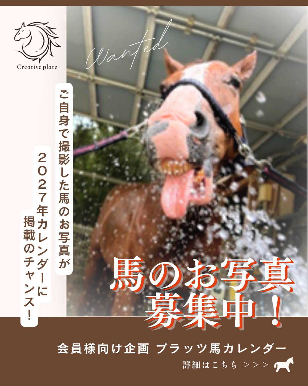 馬の写真　募集
プラッツカレンダーを作ろう！