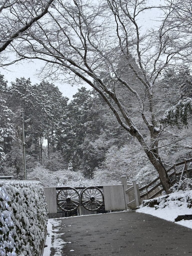 滋賀県大津市南郷にある会員制乗馬倶楽部クリエイティブプラッツです。すっかり雪化粧となりました！