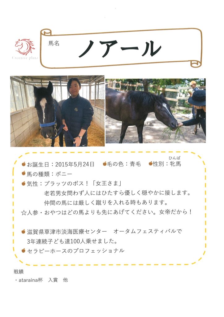 プラッツ所属の馬です。セラピーホースとしてはプロフェッショナルな子です。